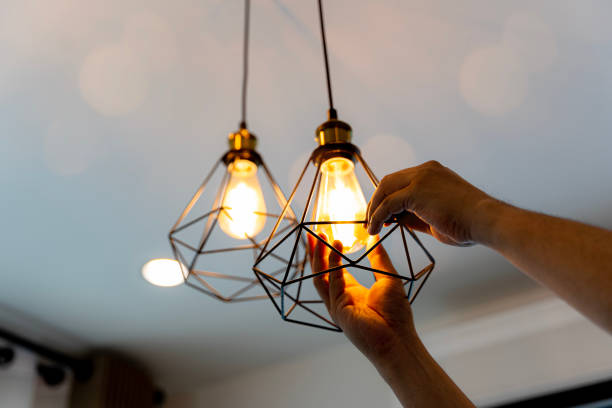 Best Electric Panel Repair  in Seabrook, SC